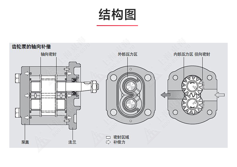 2CY型齿轮油开云手机平台（China）官方网站_开云手机平台（China）官方网站结构图.jpg